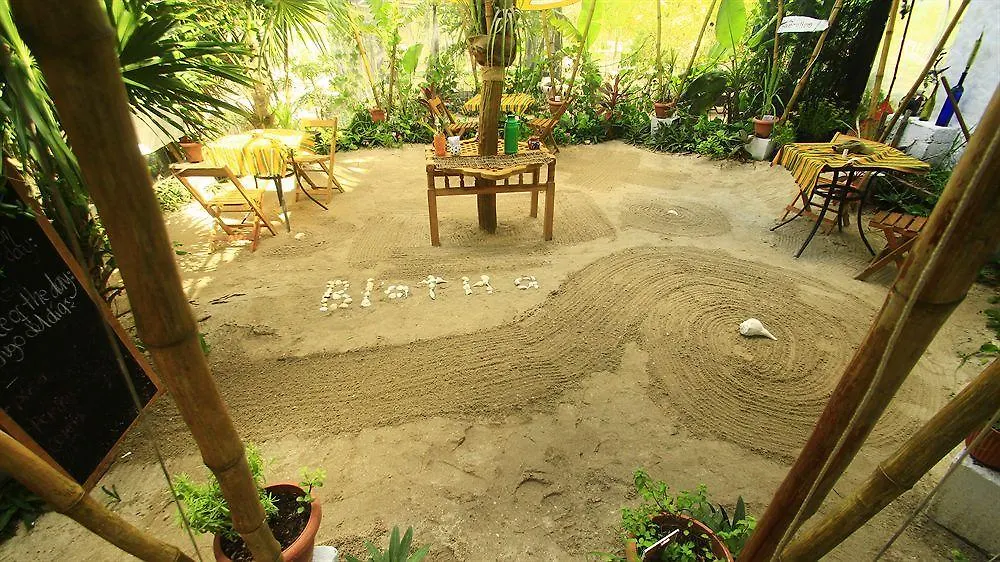 Blatha Tropical Rooms Holbox جزيرة هول بوكس