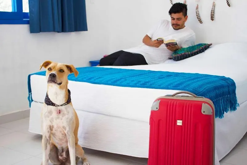 شقة Blatha Tropical Rooms Holbox