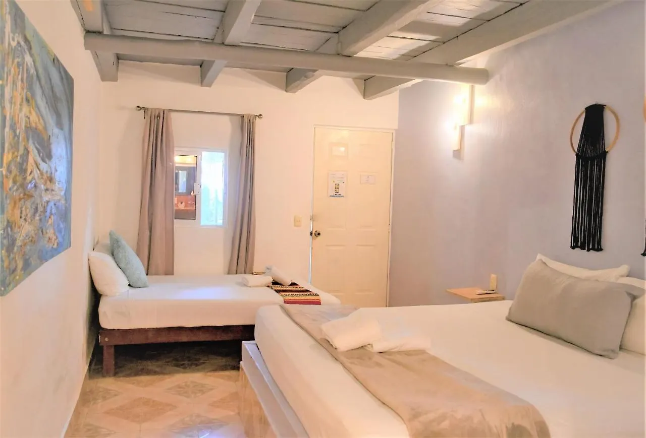 Blatha Tropical Rooms Holbox Isla Holbox