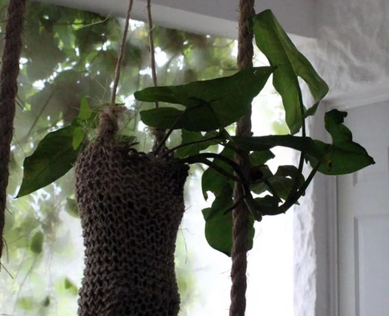 Blatha Tropical Rooms Holbox Isla Holbox