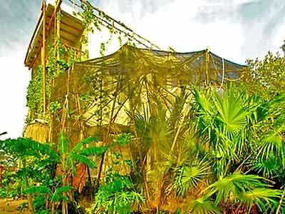 Blatha Tropical Rooms Holbox Apartment Isla Holbox
