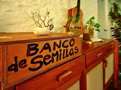 Blatha Tropical Rooms Holbox Apartment Isla Holbox